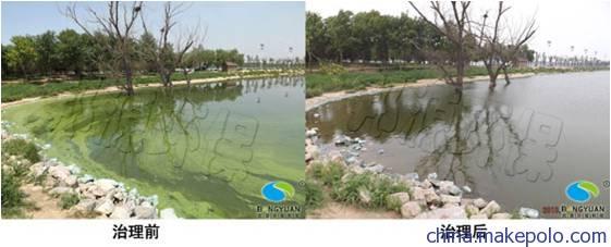 【邦源环保水环境治理改变的是战略 不变的是服务】价格,厂家,图片-中国网库